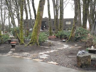 more roaming landscape